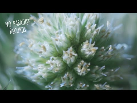 MYRNE & Shallou - Heal