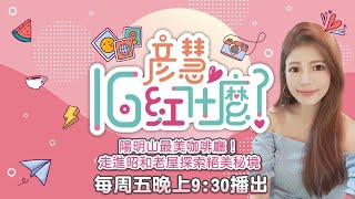 陽明山最美咖啡廳！昭和老屋探索絕美秘境