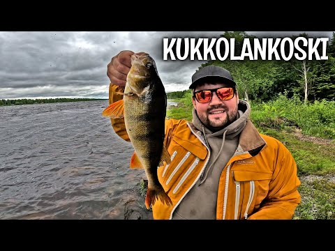 ISOJA AHVENIA KUKKOLANKOSKELTA