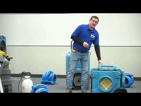 How to Get Rid of the Smell from Water Damage — Tips and Tricks