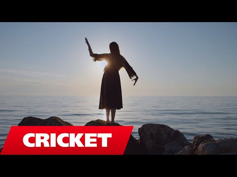 Elinel ft Lindon - T'kom dasht (Official Video)