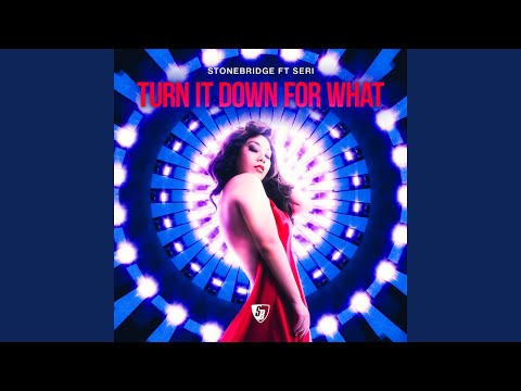 Turn It Down for What (feat. Seri) (StoneBridge & Damien Hall Ibiza Mix)