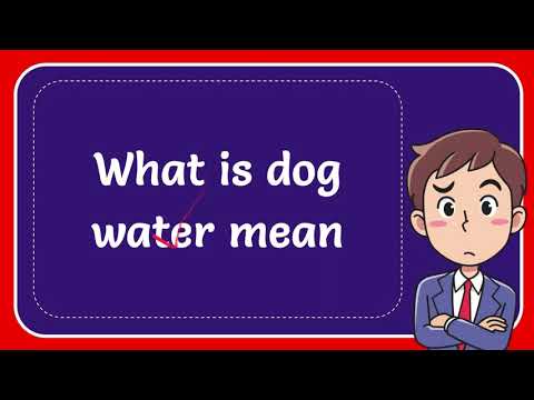 YouTube video about: What does dog water mean in slang?