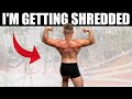 I'VE DECIDED TO GET SHREDDED