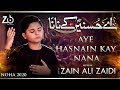 Ayyam E Fatima Noha 2020 Aye Hasnain Ke Nana Zain Ali Zaidi Zaidi Brothers