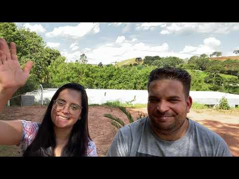 2 Reis 10 Devocional