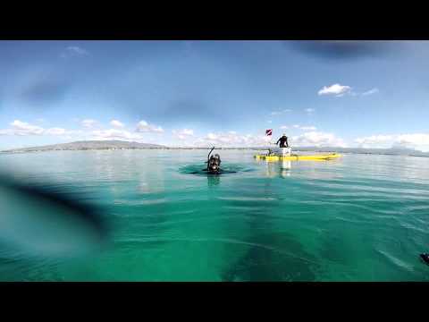 Ewa Beach Diving