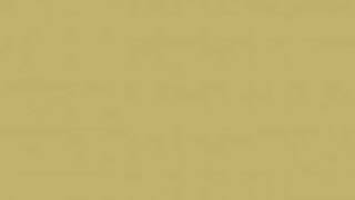 Vladislav Delay - Olari