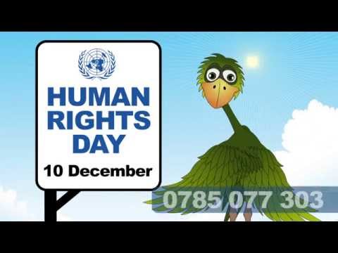 UN Delivering as One + Ubongo Kids - HUMAN RIGHTS DAY