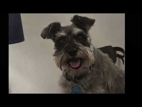 I will miss my best friend Barnsley!