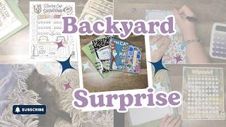 Saving money again after rescuing a kitten!