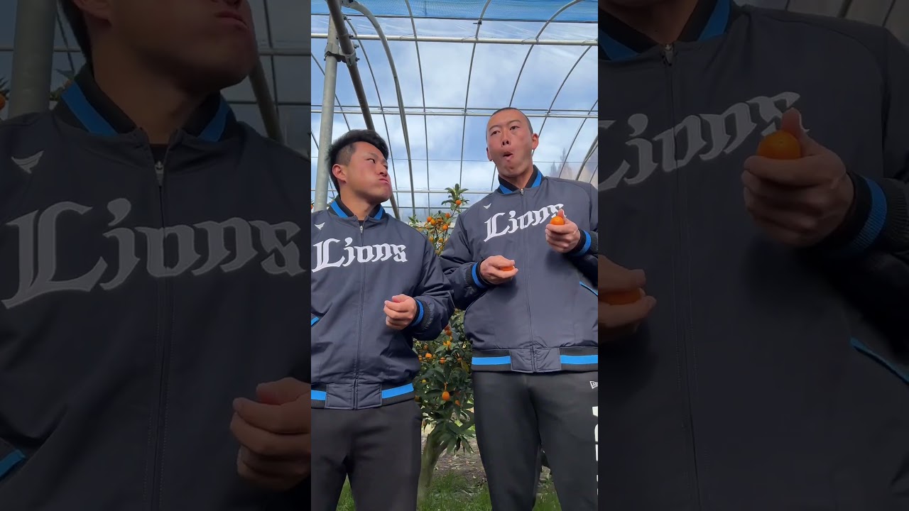 【vlog】新人観光の思い出！