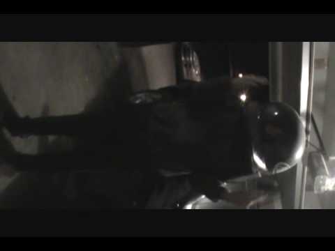 Osama Bin Laden In The Garage