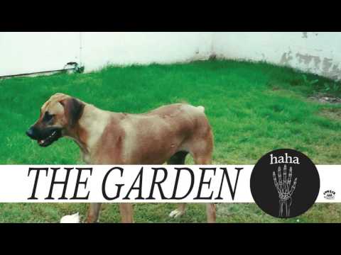 The Garden - 