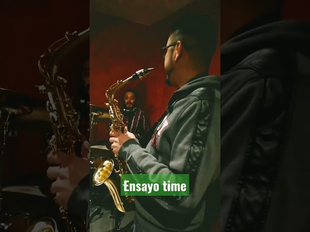 Vídeo relacionado con GuiroScraper de metal, resistente al óxido, antideslizante, para instrumentos, cepillo de acero duradero para banda de concierto, actuaciones en escenario, ensayo de conjunto musical