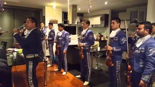 LA MALAGUEÑA ( Victor Zaizar ) en VIVO