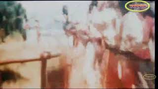 Download lagu Cuplikan 5 Harimau Nusantara mp3 Download lagu Cuplikan 5 Harimau Nusantara mp3