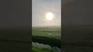 Download lagu kabut pagi menjaring matahari .. #ebietgade #fatamorgana #menjaringmatahari #sawah #indah #fyp mp3