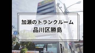 YouTube動画