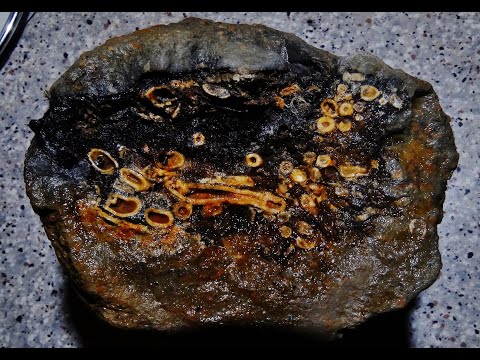 Extreme Soft Tissue preservation now Understood as Nucleophilic Invasion