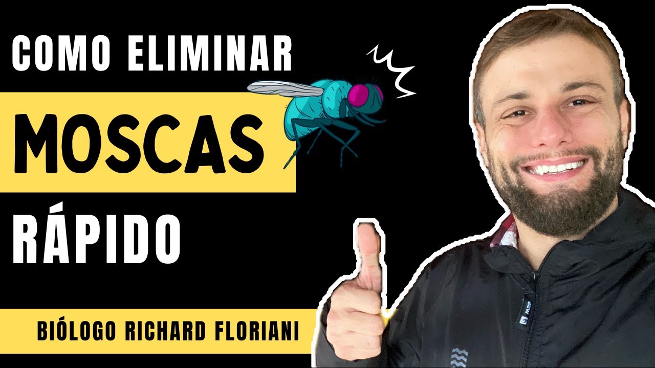 Como acabar com moscas voando em casa