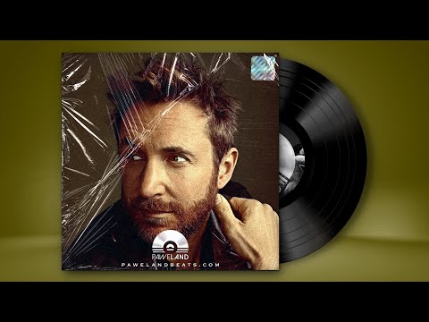 *FREE* David Guetta | Martin Garrix | Dj Snake | Avicii | INNA Type Beat - Priceless