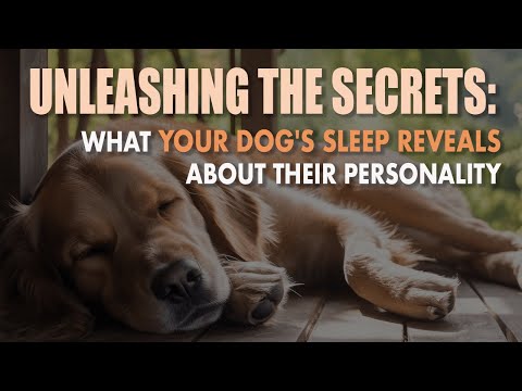 Unleashing the Secrets: What Your Dogs Sleep Reveals About Their Personality