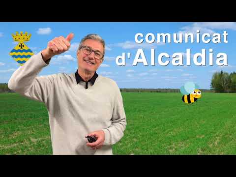 Comunicat de l'Alcaldia 311. 1 de març de 2026