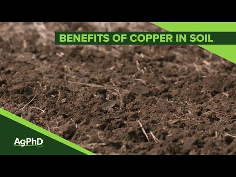 , title : 'Benefits of Copper in Soil #1074 (Air Date 11-4-18)'