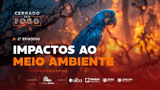 Miniatura do vídeo
