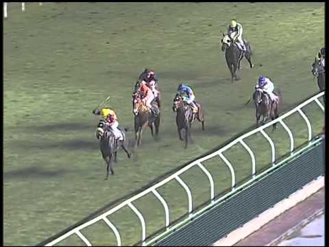 Galoppo 27/02/2015 - 5° corsa