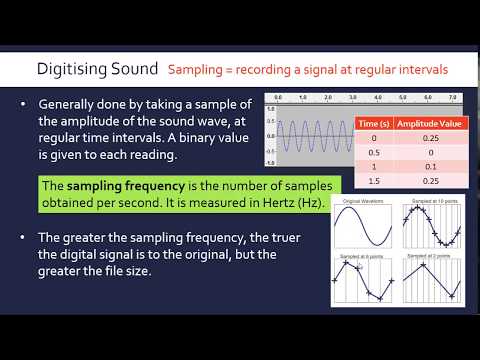 Data Types CS50 Shorts