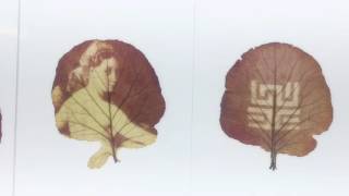 Snapshots vom Ars Electronica Festival 2016