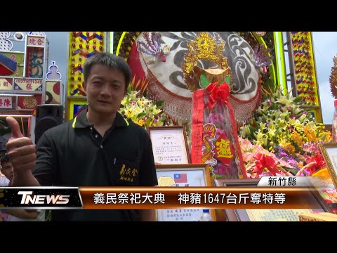 義民祭祀大典 神豬1647台斤奪特等│T-NEWS聯播網