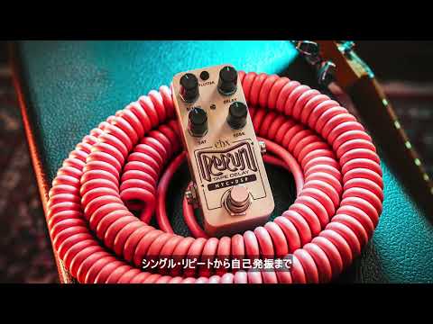 Electro Harmonix [Autumn SUPER SALE] PICO RERUN Delay Electro-Harmonix imagen 8