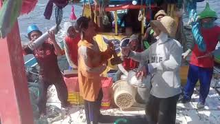 Download lagu Video lucu pelaut jatim mp3 Download lagu Video lucu pelaut jatim mp3