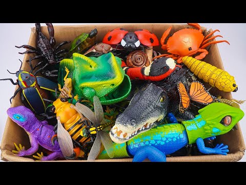 🦎toy asmr🦎 ZURU Robo Alive Chameleon, RC Snake & Crocodile Toy ASMR 🌟 Unboxing Toys