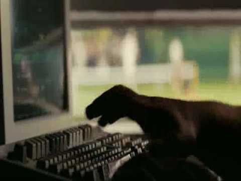 RICARDO ARJONA - NO TE CAMBIO POR NADA