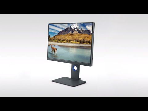 BenQ SW240: A Professional Monitor for Photo Editing