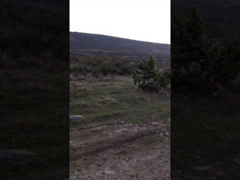 Gjuetia ne Mitrovicë