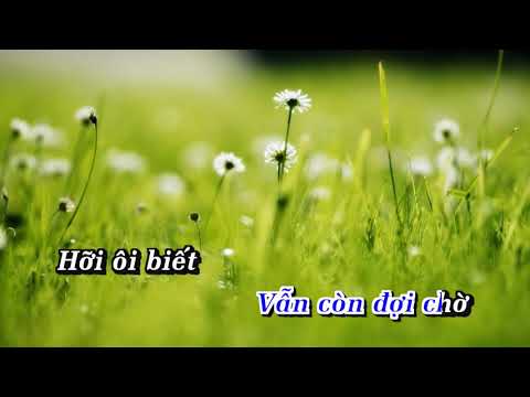 Con Tim Cố Quên Jimmy Nguyễn Karaoke  Tone Nữ