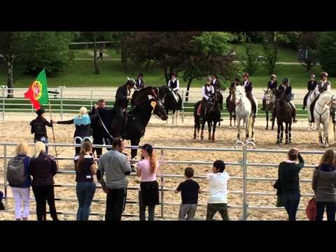 Siegerehrung Eduardo Almeida Masterclass Working Equitation Pferd Inter 2015
