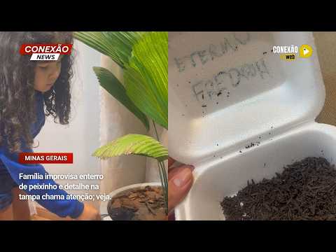 Vídeo: Família improvisa enterro de peixinho e detalhe na tampa chama atenção; veja.