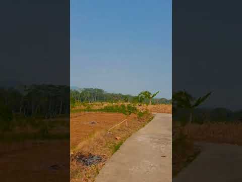 A tranquilidade do campo virou sensação: beleza rural que inspira