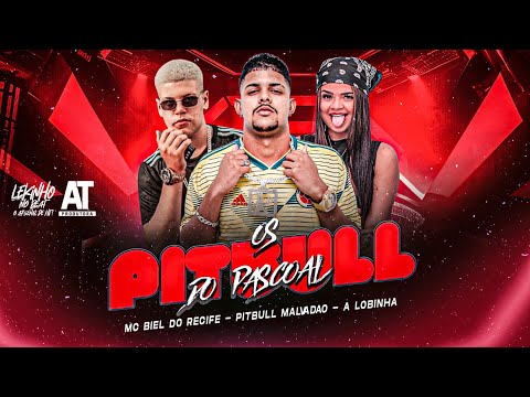 PITBULL DO PASCOAL - A LOBINHA , PITBULL MALVADO , MC BIEL DO RECIFE