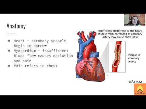 Angina Pectoris - NPTE Prep