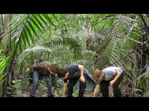 Prehistoric Island Episode 1: Crash Landing