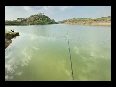 Should You Fish at the Bottom or Top? High-Temperature Fishing Tips to Help You Decide!