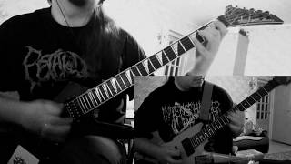 Monstrosity - Dust to dust (cover with solo)