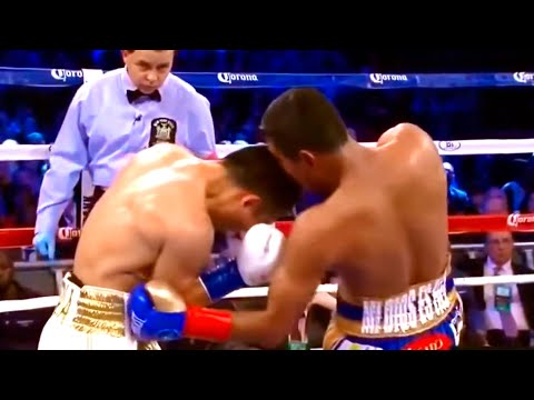 Roman "Chocolatito" Gonzalez (Nicaragua) vs Brian Viloria (USA) - KNOCKOUT, Boxing Fight Highlights